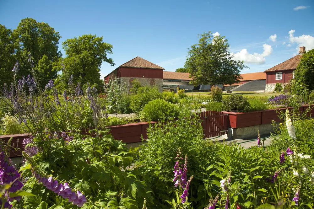 Urtehagen med blomsterkasser, frodige bed og hellelagte ganger i forkant, Storhamarlåven i rødt treverk med rød takstein i bakgrunnen.