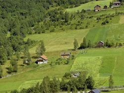 Kulturlandskap. Småbruk. Kjøkkenhage. Litt dyrka mark. Lauvs