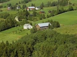 Gårdsbruk. Bærbusker. Dyrka mark. Mye trær