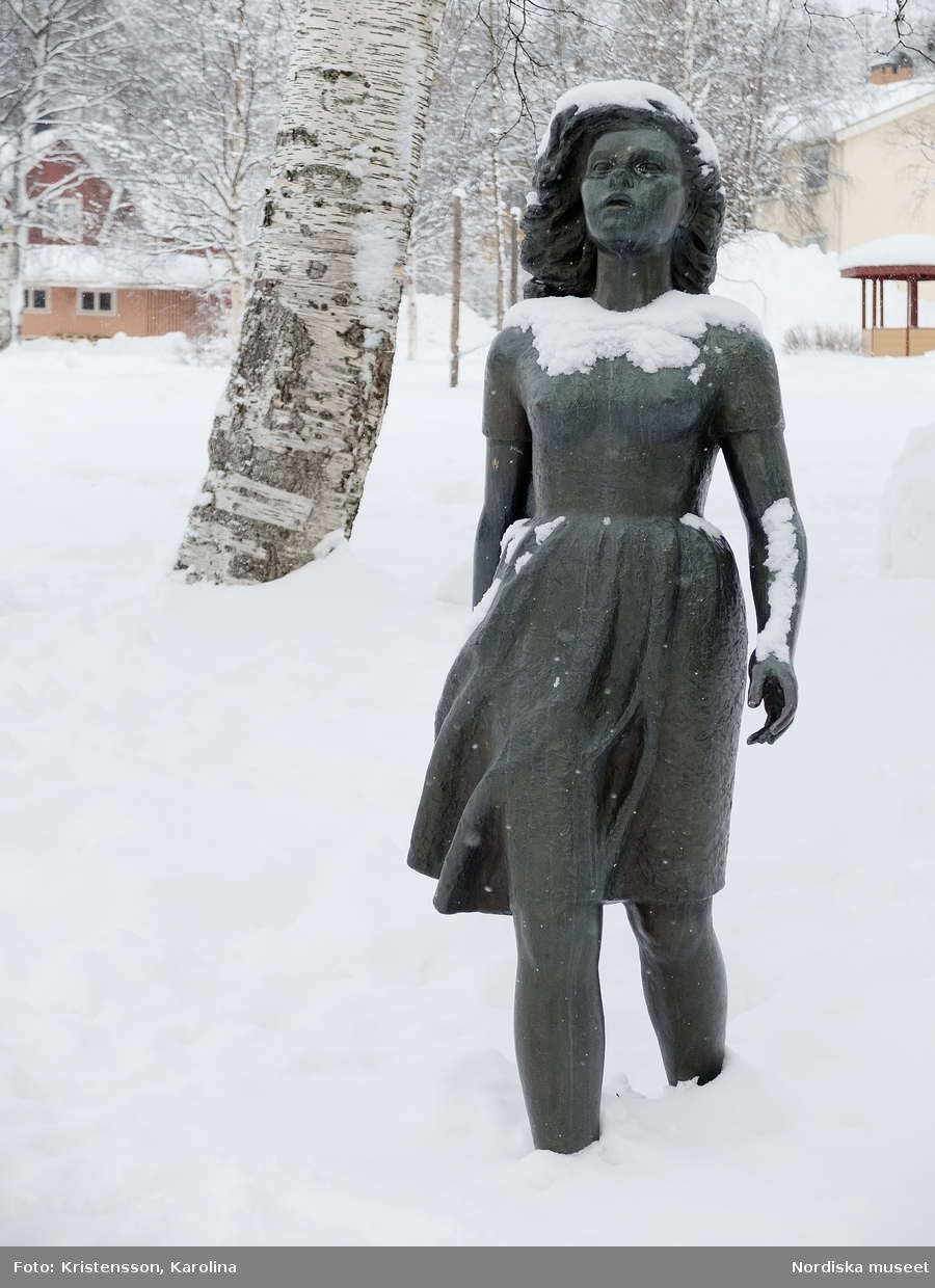 Vilhelmina detaljer i staden, Arktis