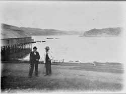 Erviknes, dampskipskai