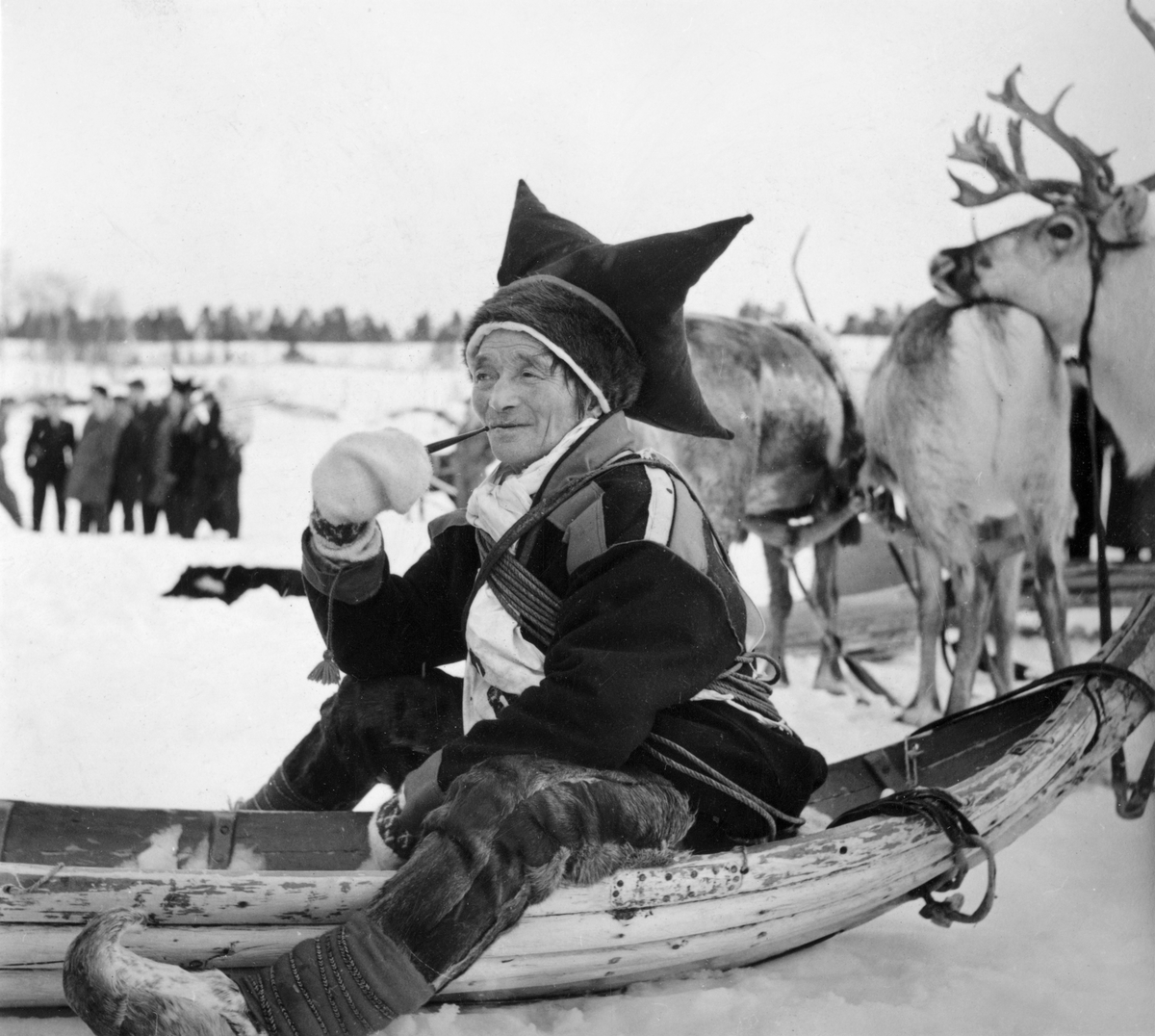 Karasjokdrakt. En same sitter i pulk, deltager i reinsdyr-racet i Karasjok april 1958. Reinsdyr og mennesker i bakgrunnen.