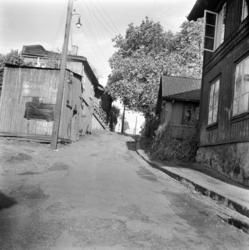 Enerhaugen.Langleiken sett mot nord.Juni 1959