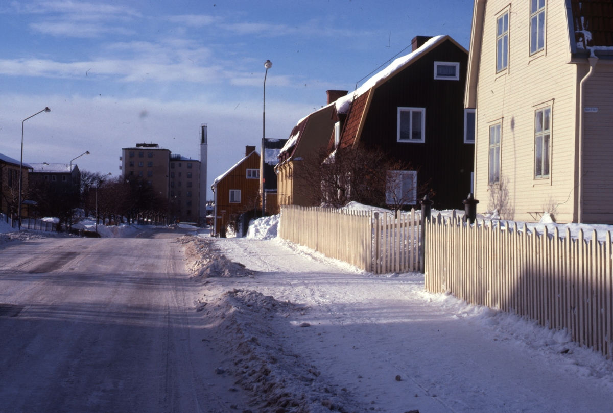 Styrmansgatan, kv Hackan 9 i förgrunden. Foto februari 1979.

