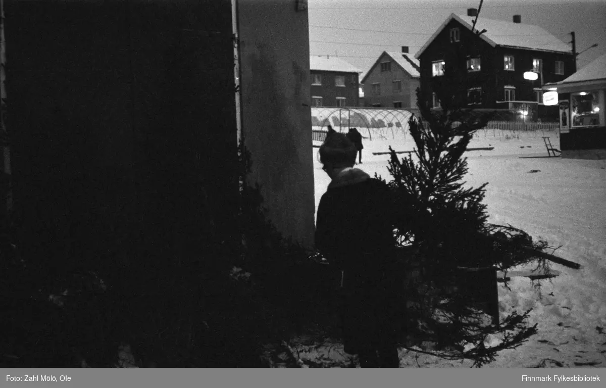 Vadsø, desember 1971. Julehandel. Kjøp av juletrær.