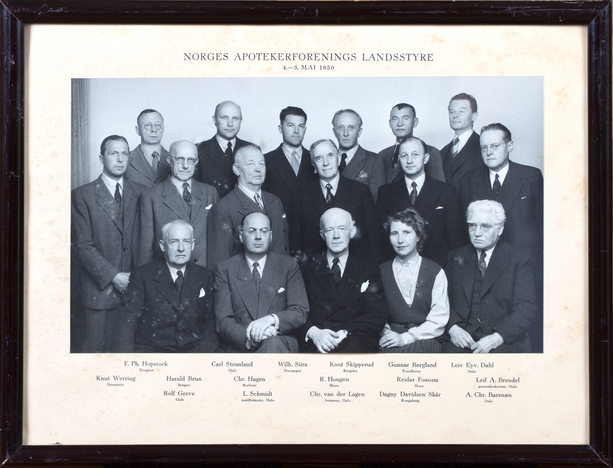 Gruppefoto av møtedeltagere, 16 menn og en dame.