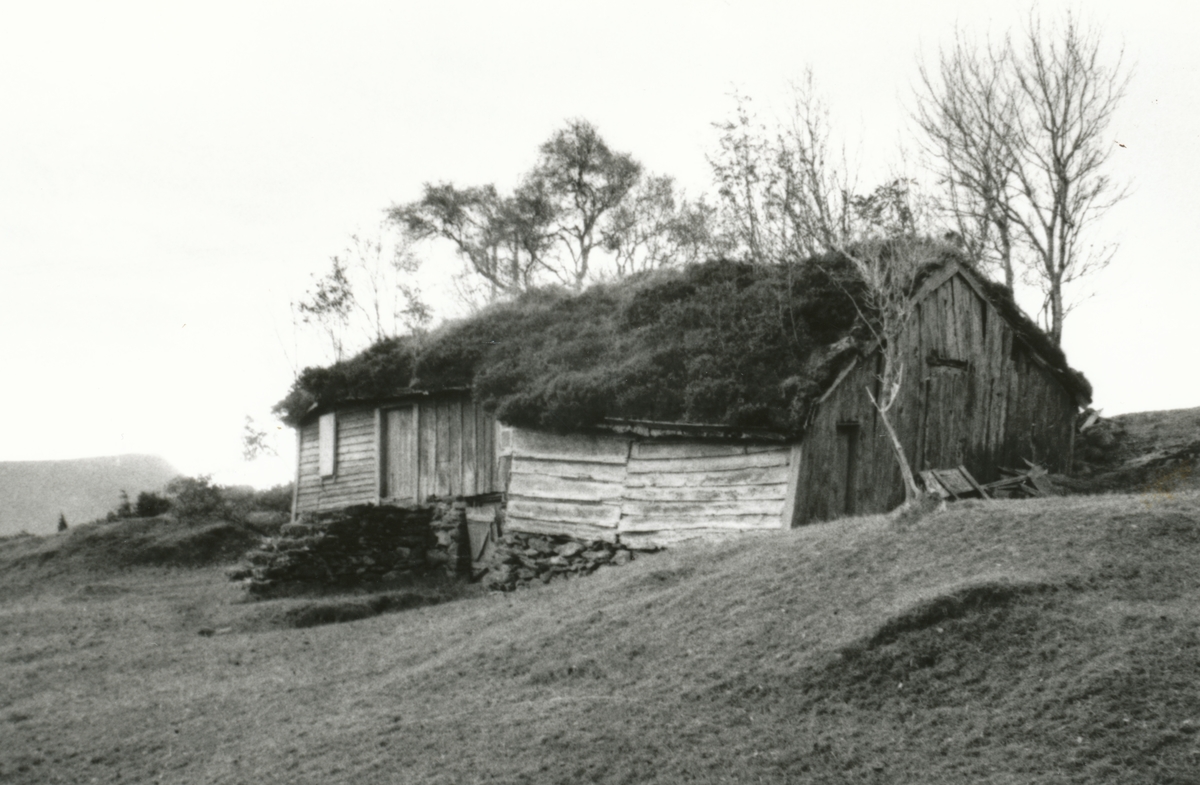 "Svartehaugstova" på Bergsøya i Herøy.