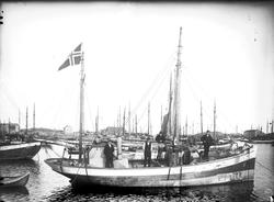 Fiskekutter Reg. D149