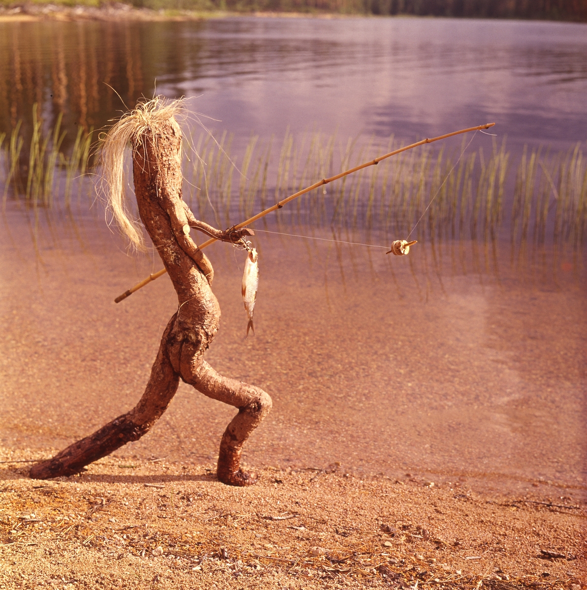 Trätrollet Skrälla Skrälle står på stranden vid en sjö med ett metspö i handen och på kroken hänger en fisk.