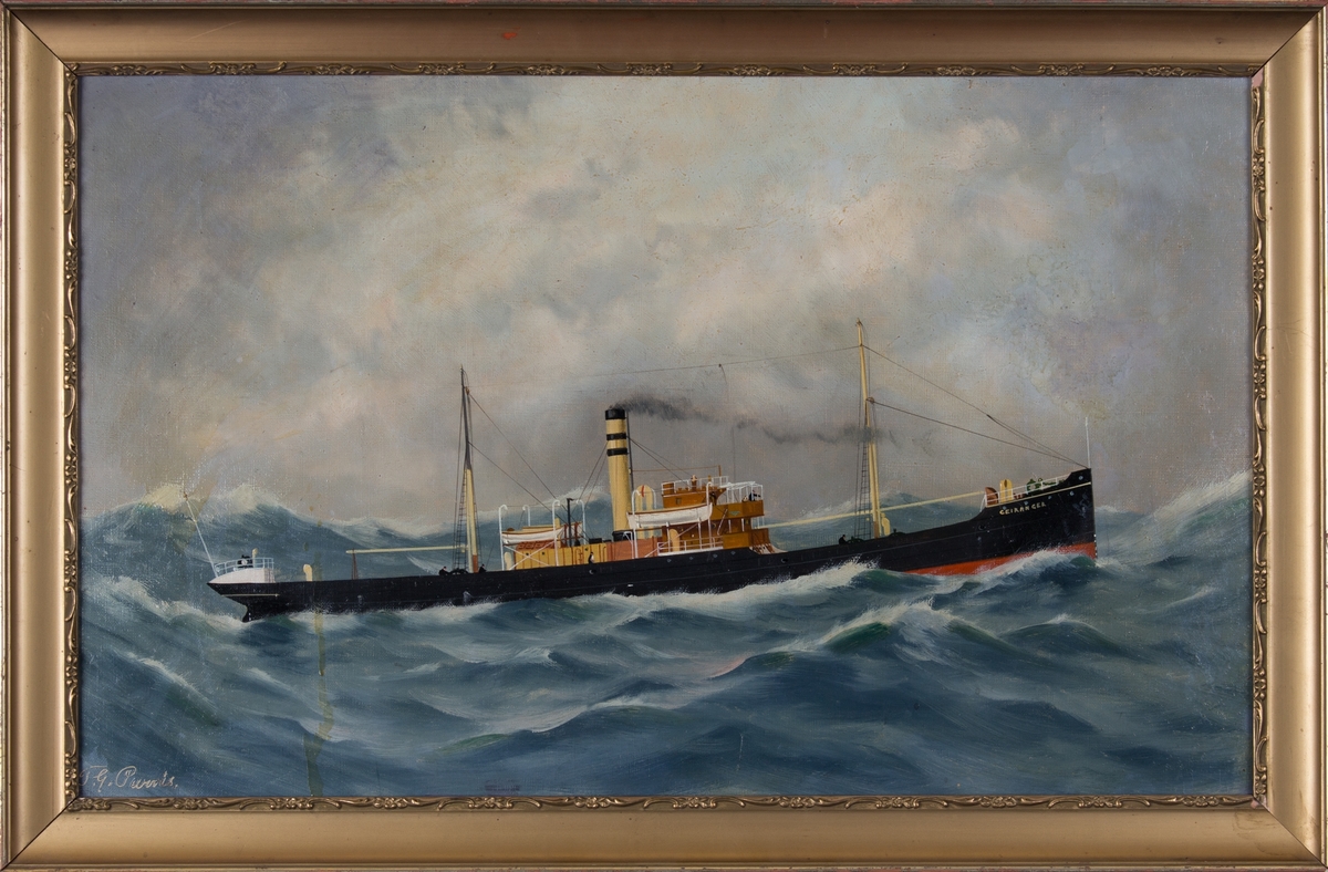 Skipsportrett av DS GEIRANGER under fart i åpen sjø. Fører ingen vimpler eller flagg.