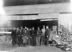 Tårnby sag i Rømskog, mannskapet, ant 1930-åra. Nedlagt ette