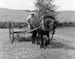 Slåttonn, Nordvold gard, Gnr.43, bnr.5, Løten. Gardbruker Pa