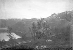 Utsikt fra Fjeldheim nedenfor Sildvik (Rombak) - damplokomot