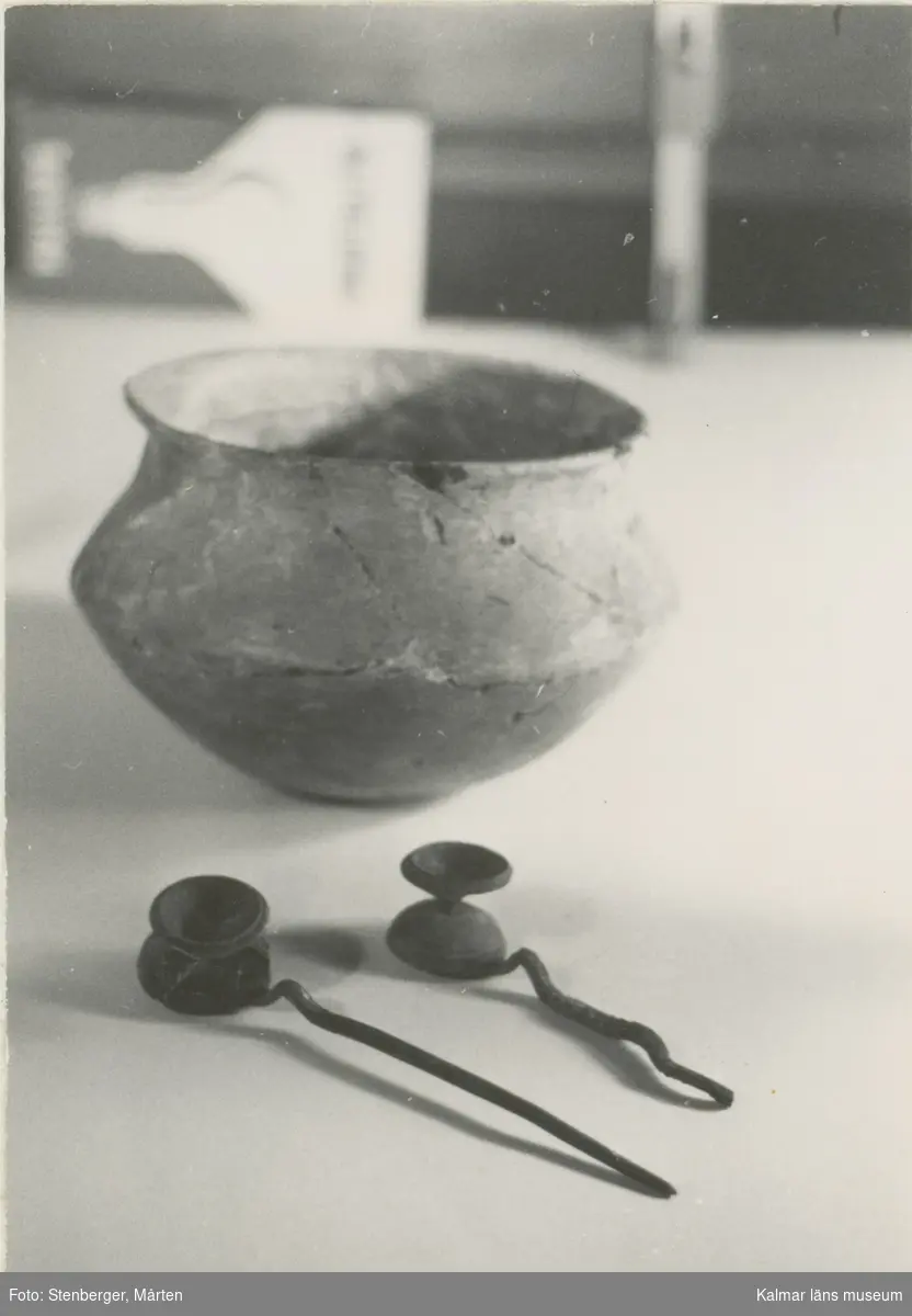 Lerkärl och bronsnålar. Gravfynd från Resmo 1957.