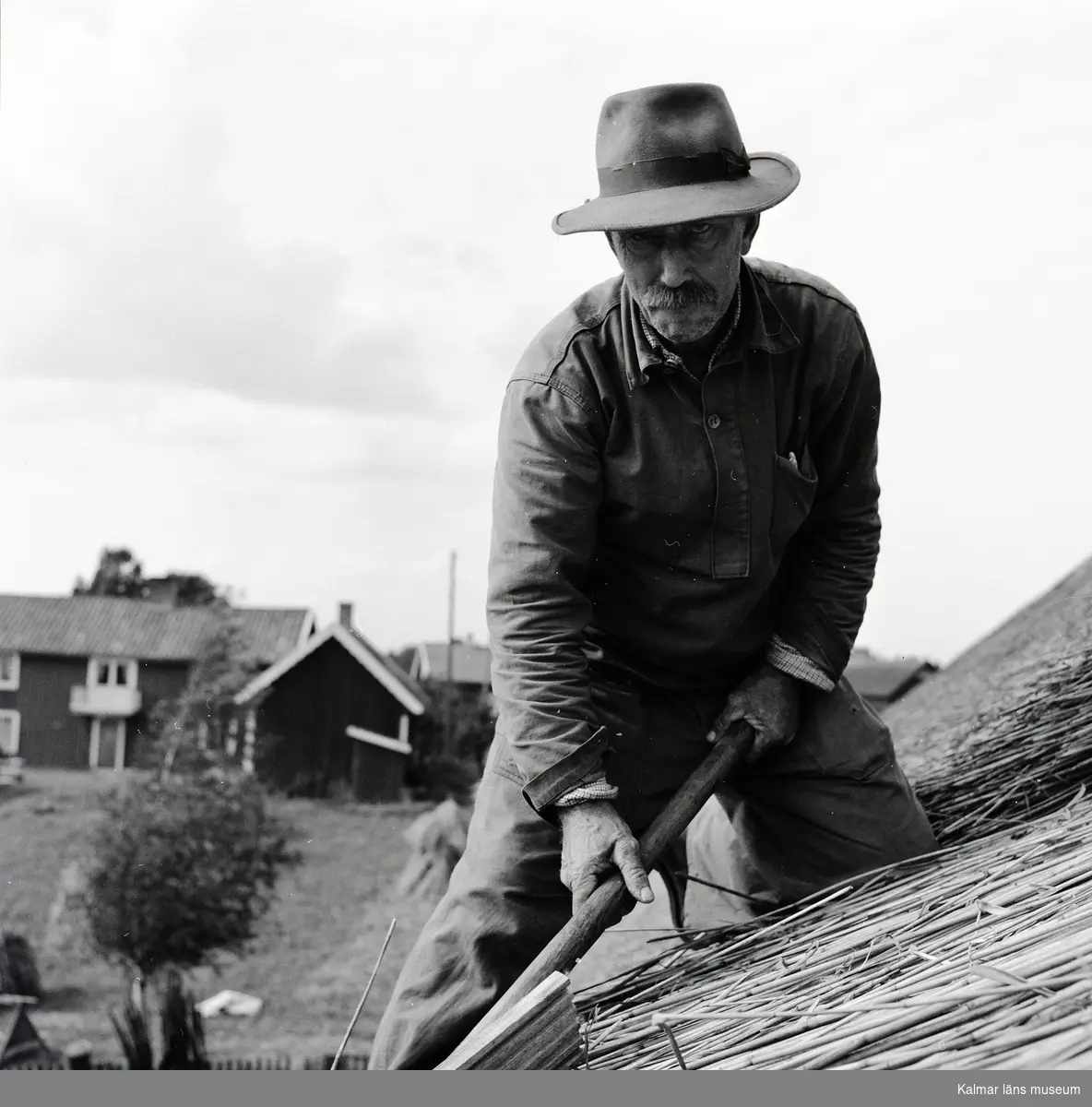 Elias Gustavssons gård. Taket täcks med vass, taktäckare Pettersson driver upp vassen.