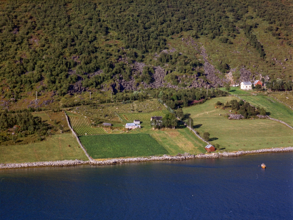 Flyfoto fra Garles på Kveøya.