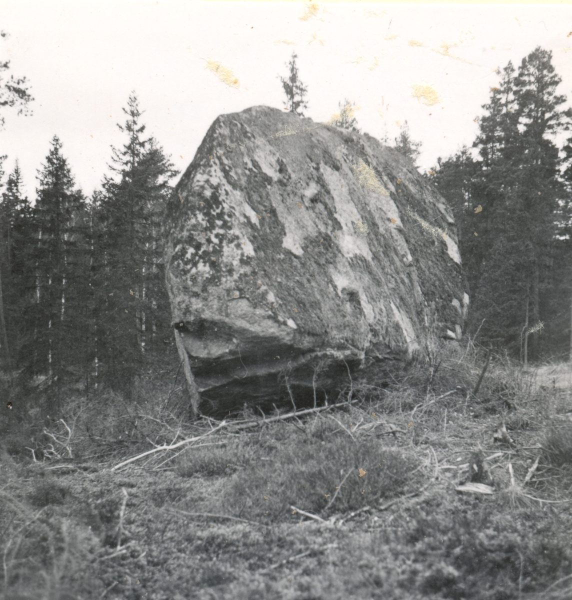 Ett flyttblock i Skäfshult

Flyttblock

Foto M. Hofrén 1947.