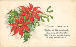 tegning av kristtorn og mistelstein