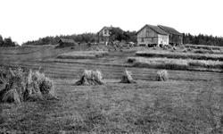 Gården Snoppestad  gnr 24 (3024) bnr 2 i Varteig ca. 1910-20