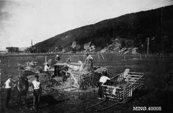 Høyonn, personer, vogn, hest.