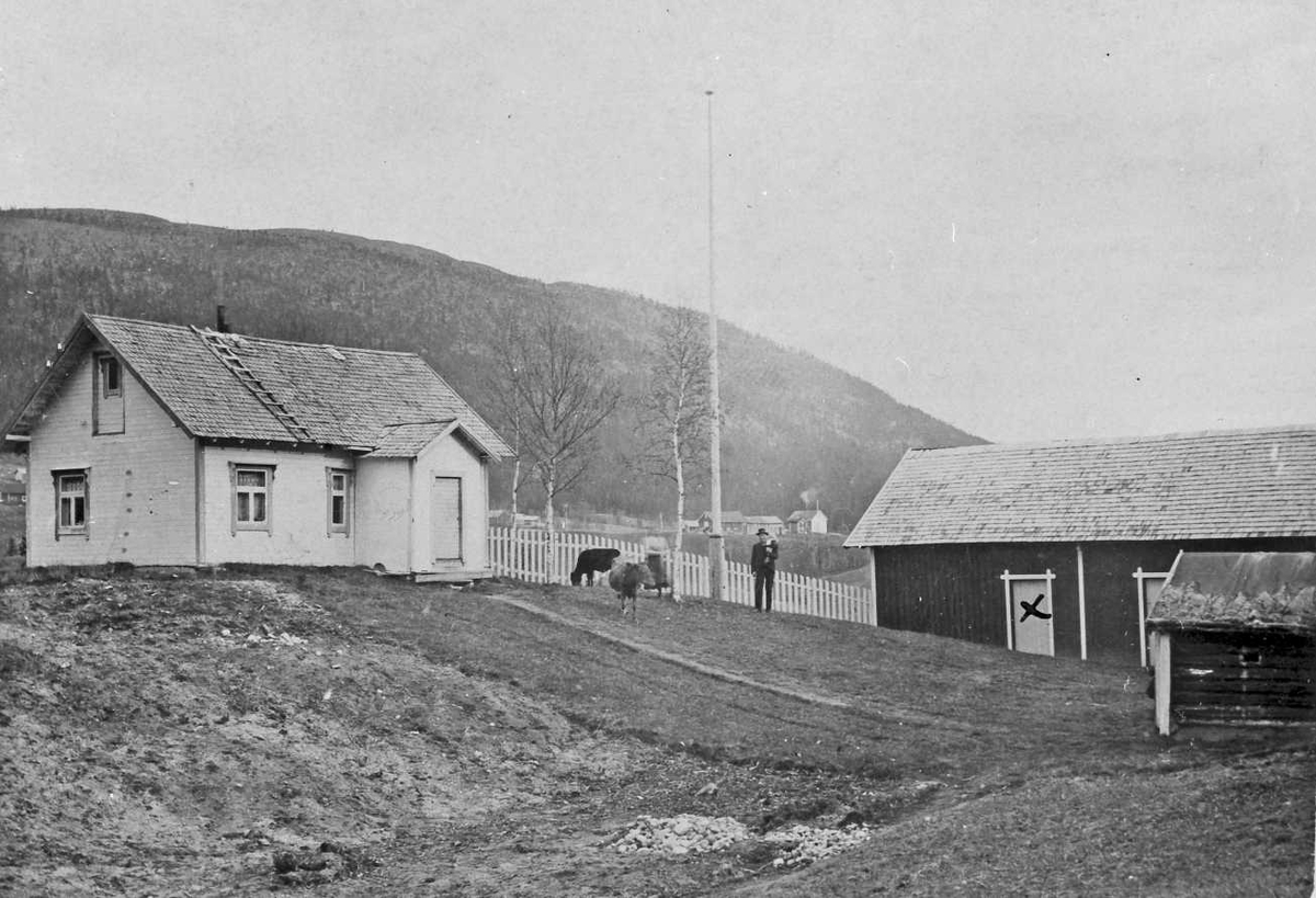 Bolighus, uthus, flaggstang, person, dyr. 