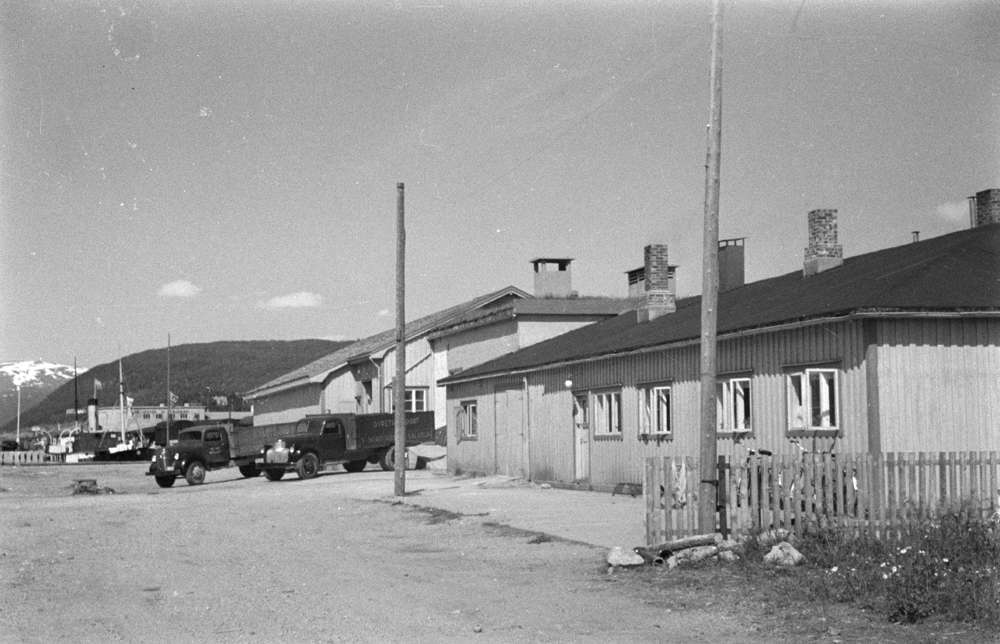 Slakteriarbeidere og distriktsveterinær Kurt Ragnvald Bakstad. Røine i arbeide ved slakteriet på Jernbanekaia.(1946-1959.) Flere bilder inne og ute.
Salgslag slakteri