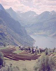 Norsk landbruks jubileumsutstilling 1959. Landskap, fjord og