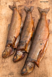 Varmrøkt røye. Varmrøyking. Bildet er tatt under De nordiske