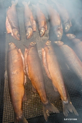 Røyer røykes i Norsk Skogmuseums friluftsmuseum på Prestøya 