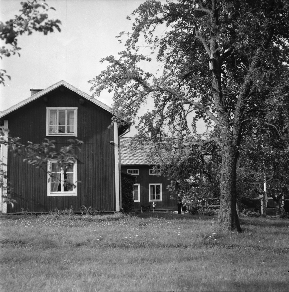 Strömbäck, Dag. Djuphällan, Hedemora 12 aug. 1960