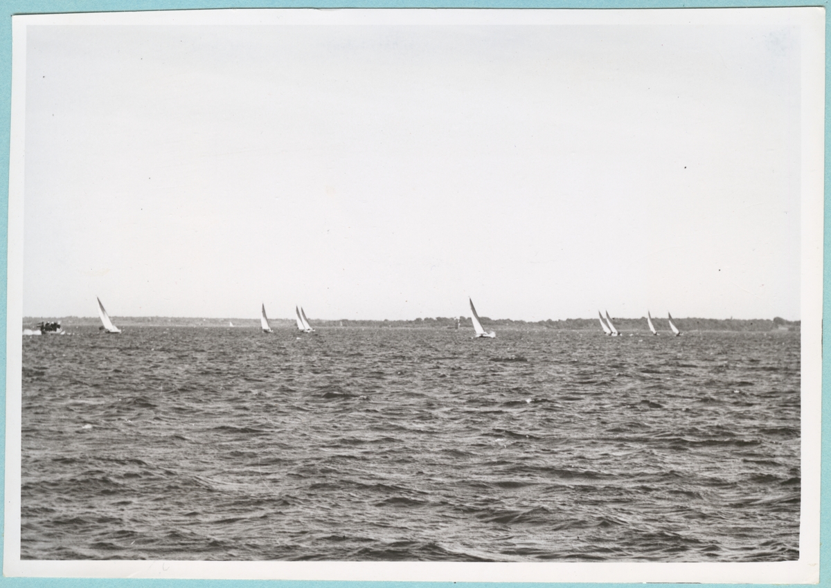 Kappseglig i Karlskrona skärgård. På vattnet syns flertalet segelbåtar färdas.