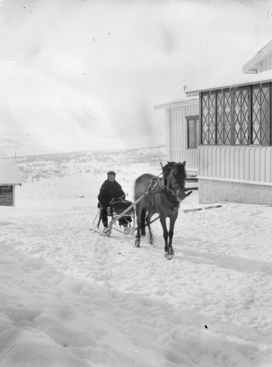 Mann med hest og slede ved Hjekinn fjellstue på Dovrefjell.