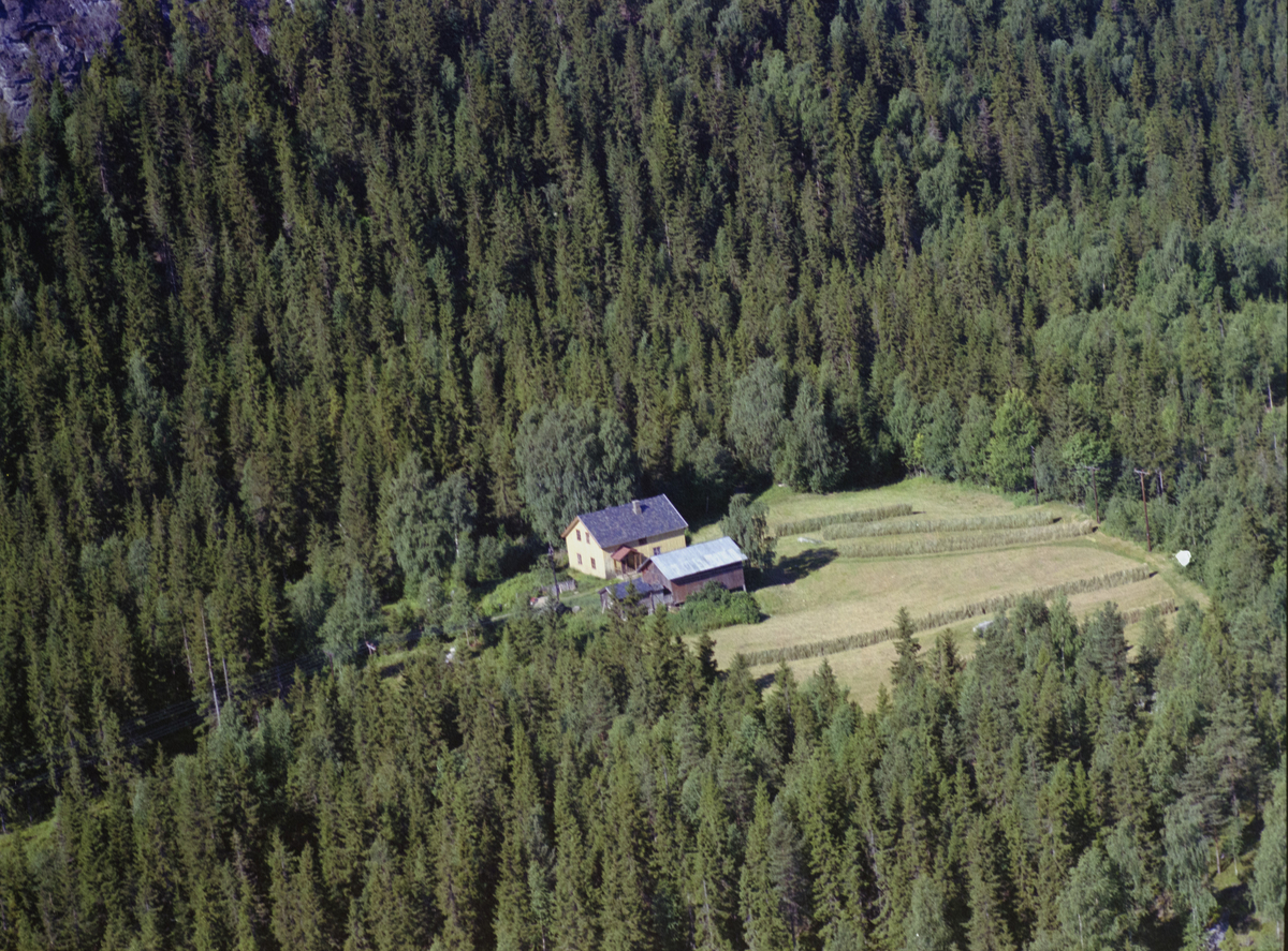 Sør-Fron, valgkrets Liene med småbruket Sveipehaugen. Nyreisingsbruk med skog rundt. Kulturlandskap