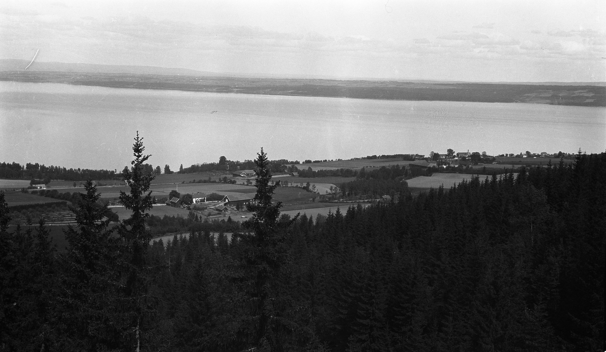 To landskapsbilder fra Totenvika, Ø.Toten, ca. 1930. Det ene mot Nord-Øst, det andre mot Syd-Øst. Fotografens standplass synes å ha vært ovafor Taralrud-gårdene.