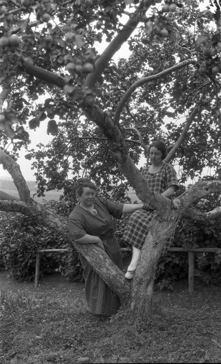 Fire bilder av to kvinner. Bakerst på bilde nr. 1 trolig Nelly Hveem. Den andre er ukjent.