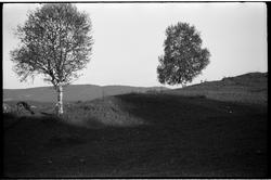 Fra Krabyenga, Østre Toten. Serie på fire bilder.