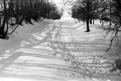Vinterveg mars 1944. Fotografen har skrevet: "V/Hallingstad"