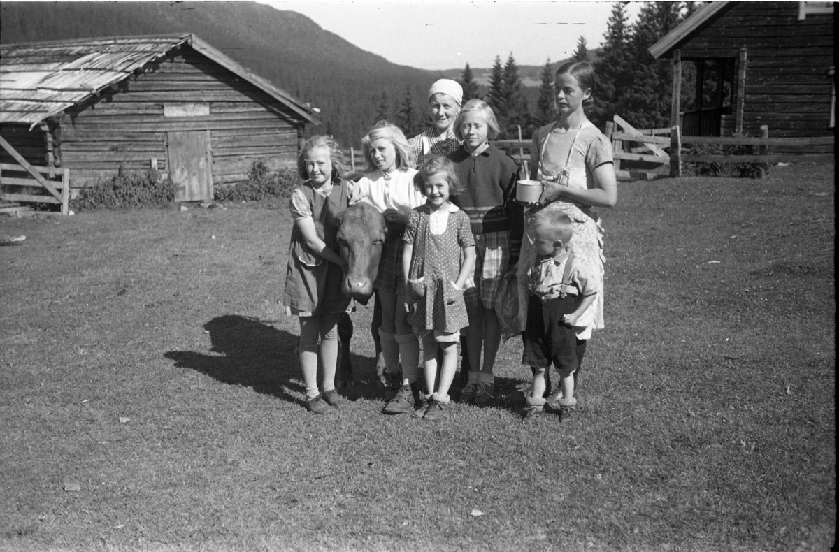 Tre bilder av noen personer samlet på en setervoll, sannsynligvis en av setrene rett syd for Torsætra på Totenåsen. Fra venstre på bilde nr. 1: To ukjente, Gerd Raddum, Heidi Raddum, Sigrun Røisli, Randi Raddum og Oddbjørn Raddum.