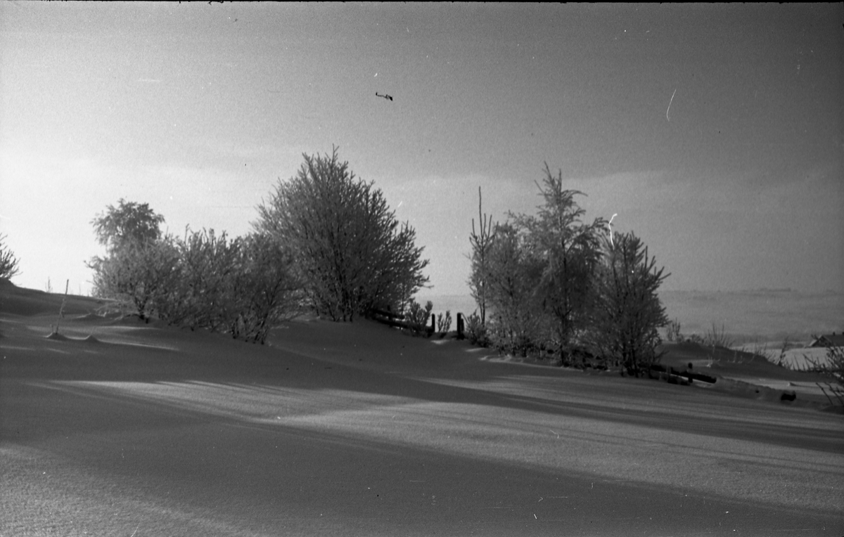 Vintermotiver januar 1948. Serie på 10 bilder.