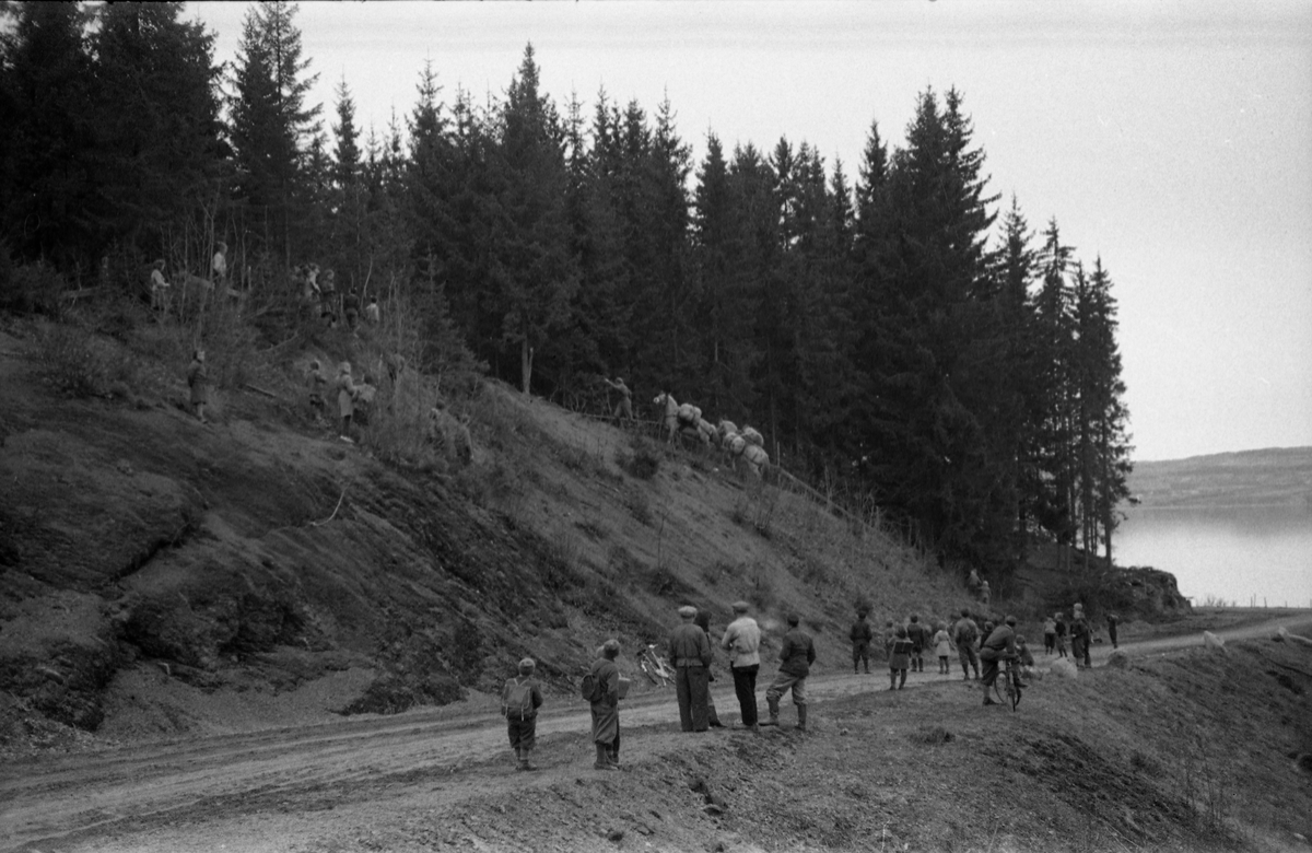 Hærens Hesteskole øver med kløv i Billeruddalen i Østlia på Kapp, april 1949. Serie på 13 bilder.