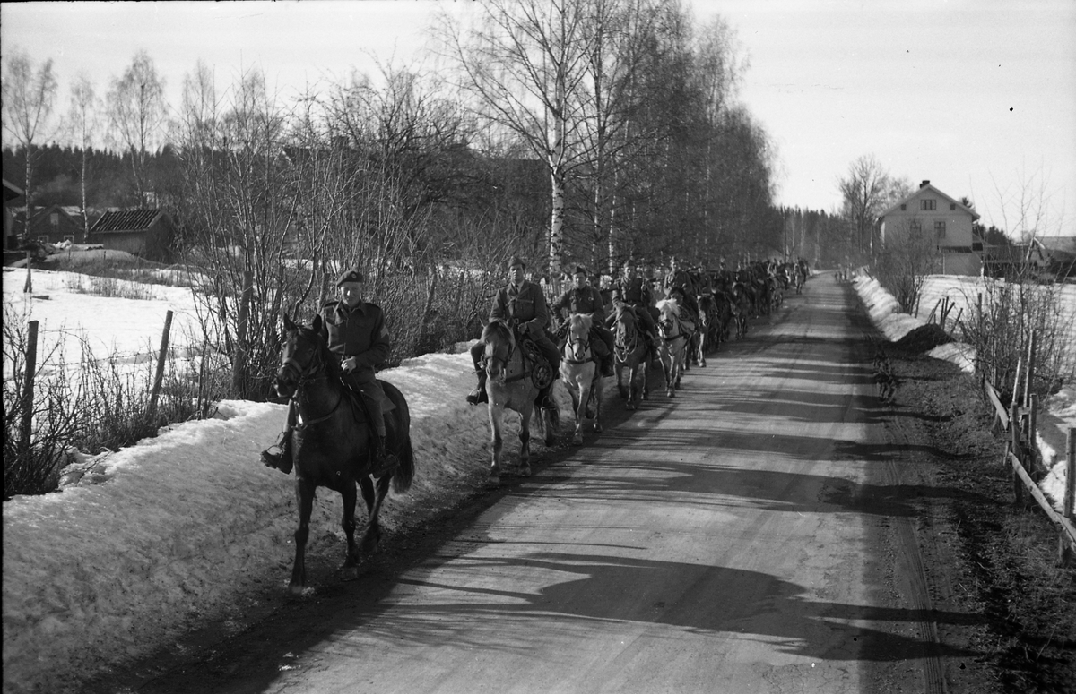 Ryttere fra Hærens Hesteskole på Starum, langs vegen ved Vennevold vinteren 1950.