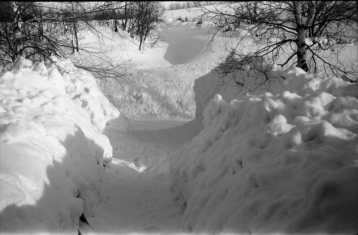Snøvinteren 1951. Åtte bilder fra fotografens eiendom Odberg på Kraby, Ø.Toten.
