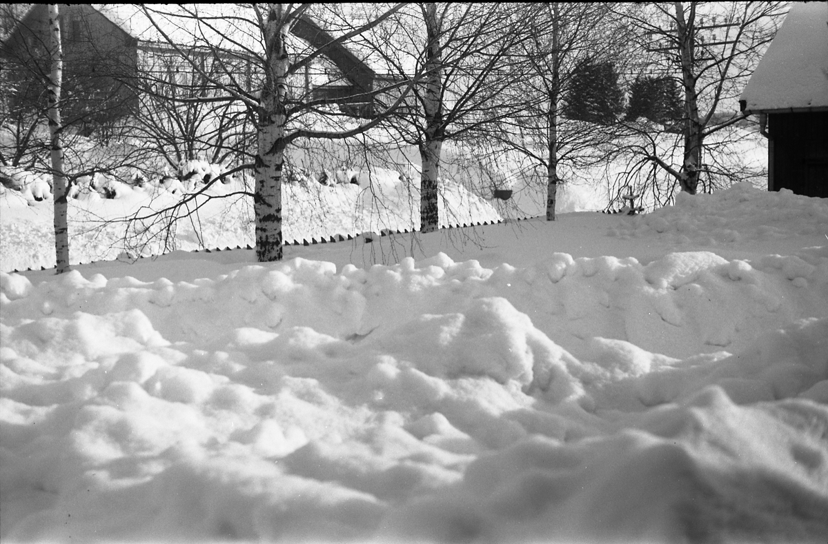 Snøvinteren 1951. Åtte bilder fra fotografens eiendom Odberg på Kraby, Ø.Toten.