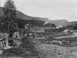 Tinfos papirfabrikk, oversikt.