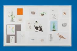 Fra naturen, juni 2017 [Montage]