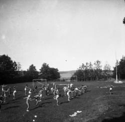 "10 (110)" (ste181a)