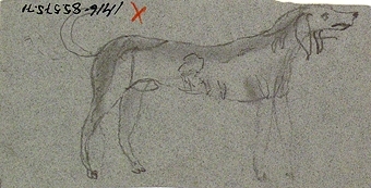 Teckning av en hund på var sida av pappret.

Enligt liggaren: 85575:1-189: Christine Zelows ritportfölj.