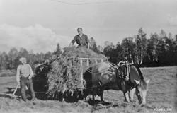 Høykjøring. Per E. Berg, og på lasset Olav Gjelten.