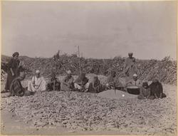 Le Battage du Mais [Fotografi]