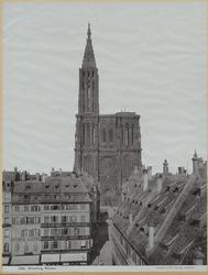 Strassburg, Münster [Fotografi]